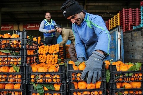 کاهش ۲۵ درصدی مصرف میوه در کشور / میوه چقدر گران شد؟